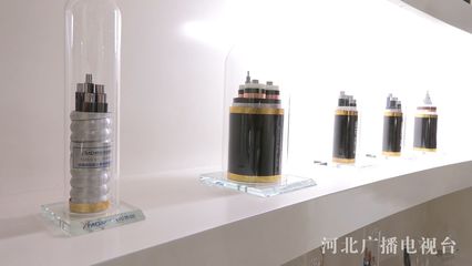 明達(dá)線纜集團(tuán)榮獲省級(jí)“綠色工廠”稱號(hào)，引領(lǐng)控制電纜行業(yè)綠色發(fā)展新風(fēng)尚